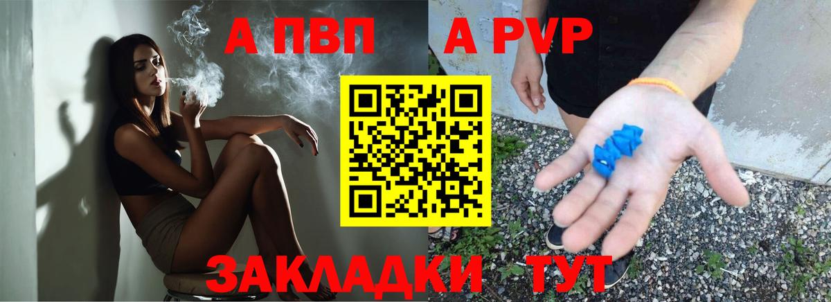 Alfa_PVP СК Тимашёвск