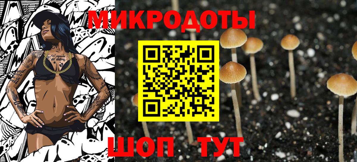 Псилоцибиновые грибы ЛСД Тимашёвск